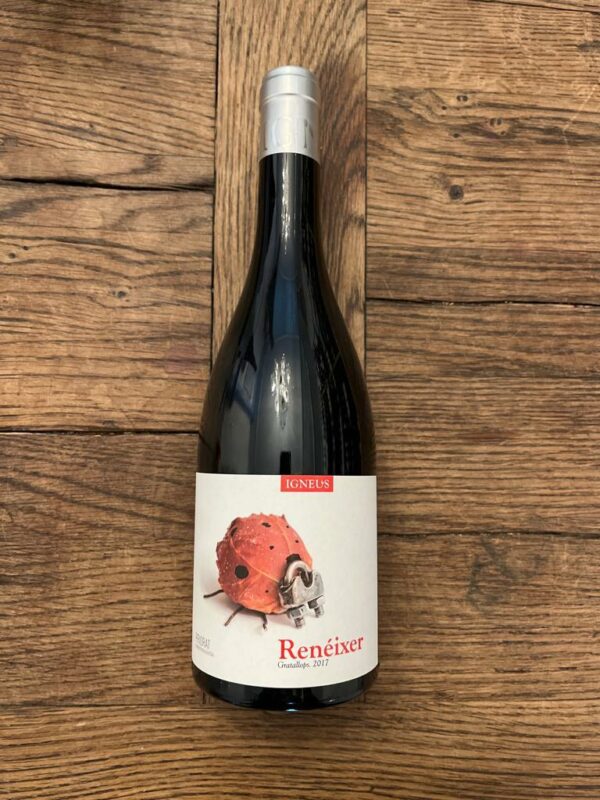 Mas Igneus - Renéixer