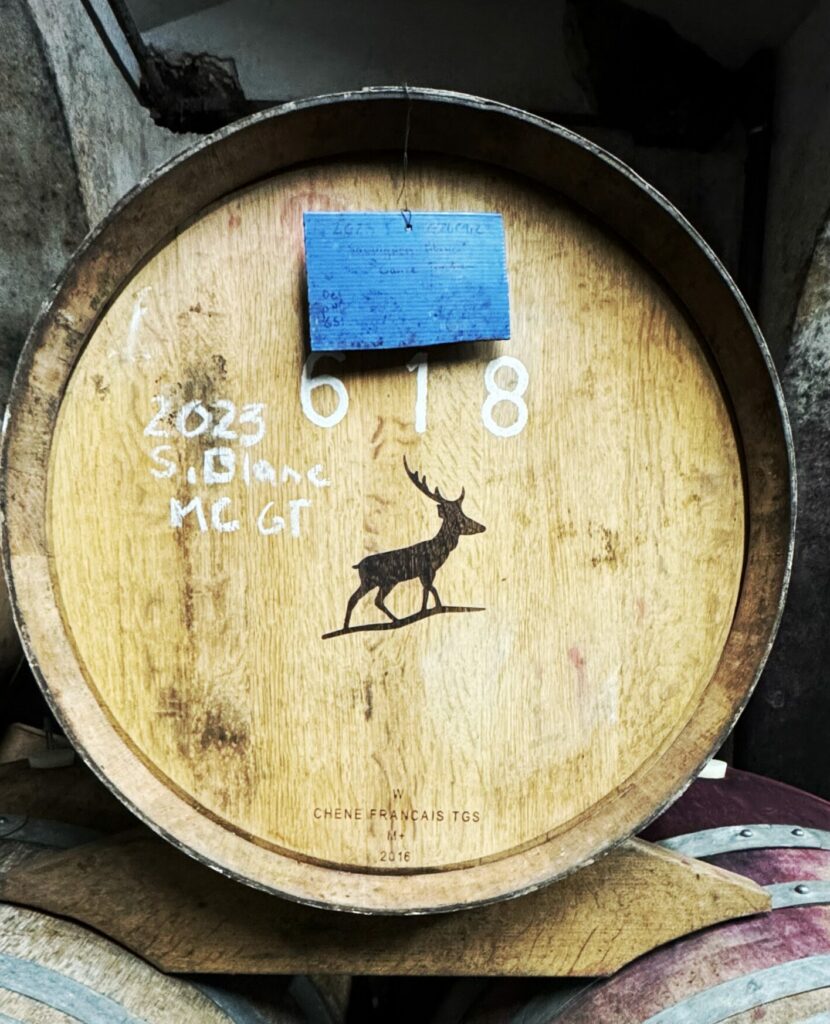 Max Geitlinger - Wijnton