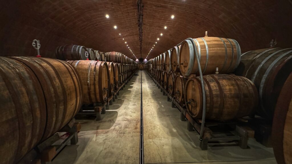 Wijnkelder Ziereisen