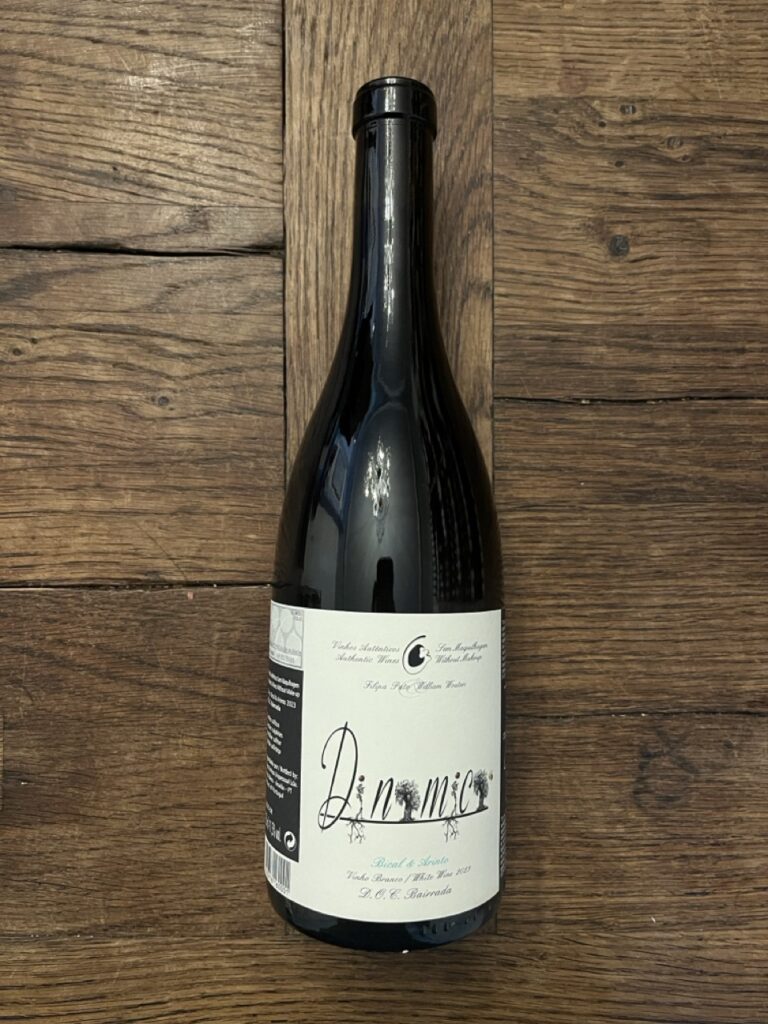 Filipa Pato - Dinamico Branco