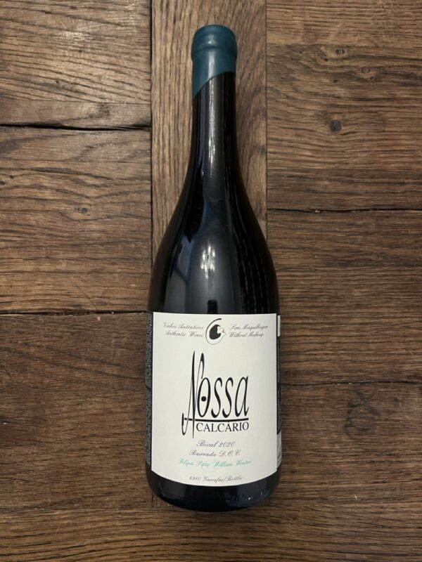 Filipa Pato - Nossa Branco